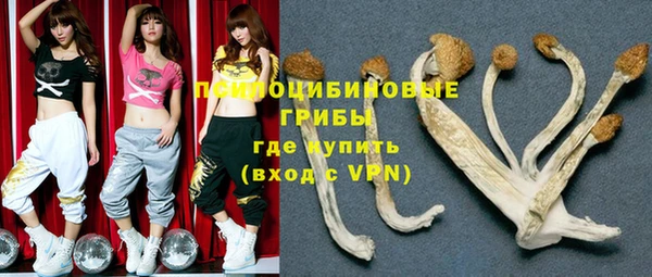 мяу мяу мука Зеленокумск