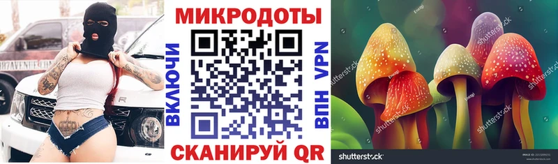 kraken зеркало  купить   Калачинск  Псилоцибиновые грибы Cubensis 